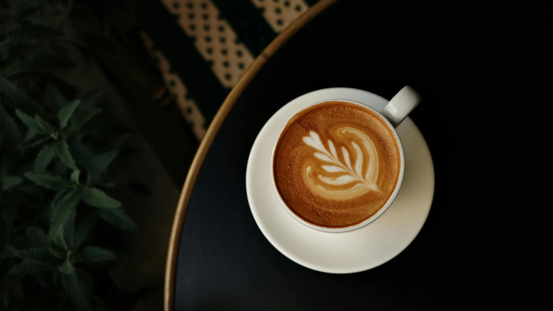Nuestro local y baristas